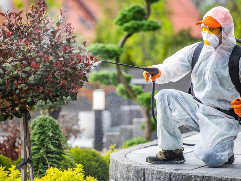 Karapınar Haşere İlaçlama